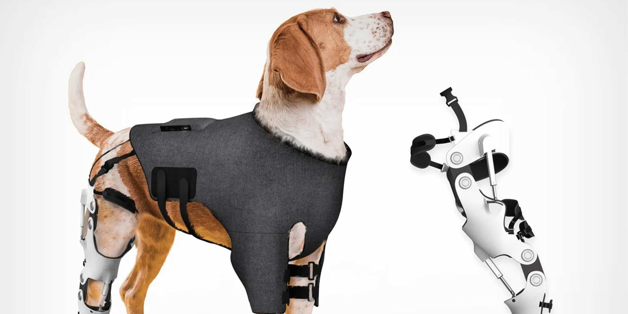 设计资讯｜帮助受伤的小狗重新运动的智能外骨骼