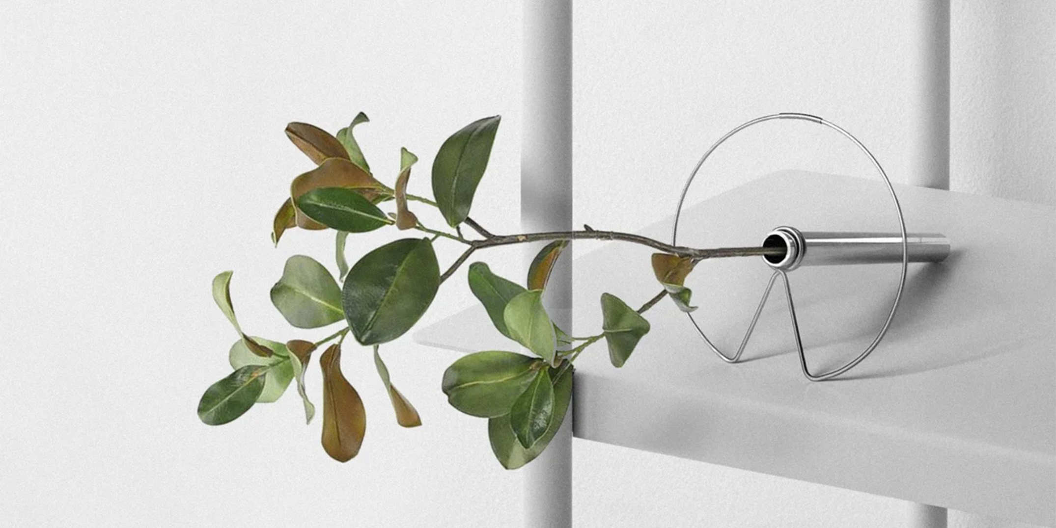 设计资讯｜莲花效应花瓶让植物像在水面漂浮